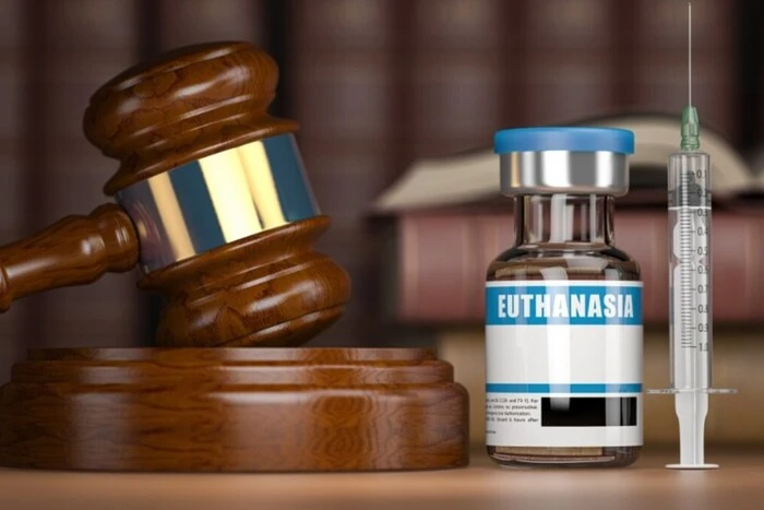 Франція ухвалила закон про евтаназію для хворих