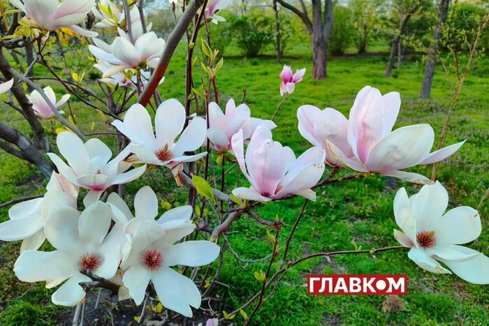 Ab Montag wird die Ukraine von einem kalten Front erfasst