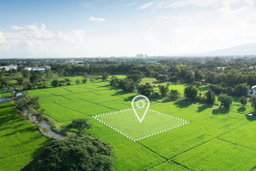 Notification about the land plot at CNAP