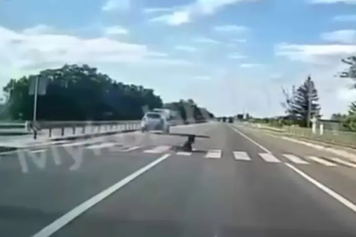 In Lviv Region, the patrol police hit a minor (video)