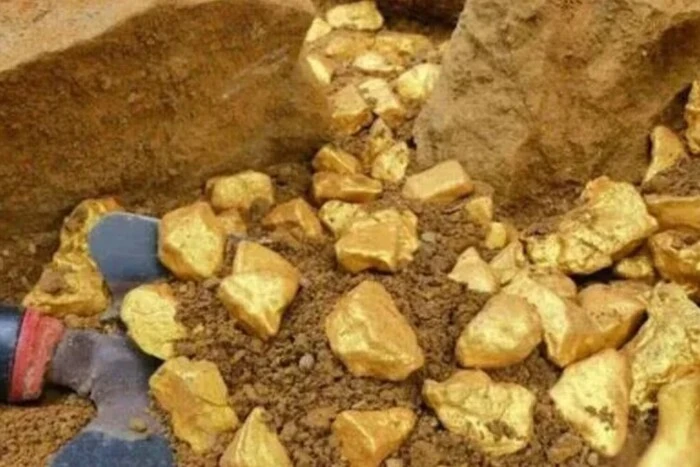 A French farmer found 150 tons of gold on his land