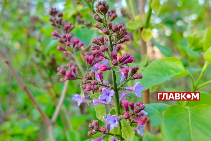 Прогноз погоди на 1 травня